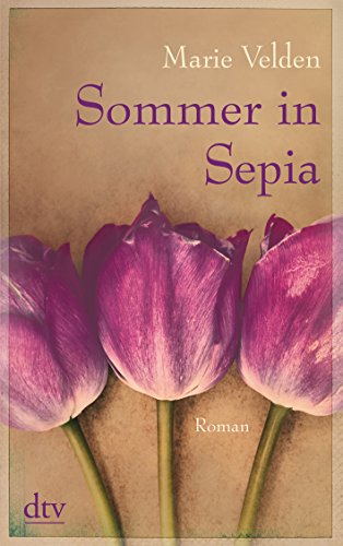 Stock image for Sommer in Sepia: Roman for sale by medimops