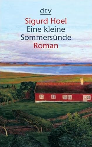 9783423252522: Eine kleine Sommersnde: Roman