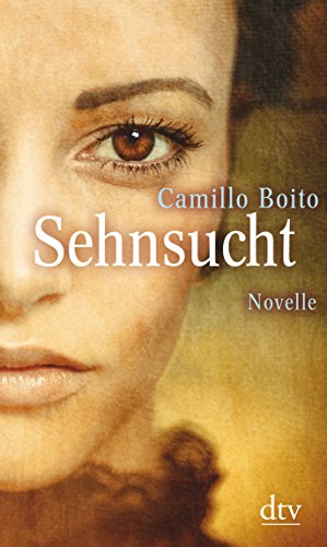 Imagen de archivo de Sehnsucht: Novelle a la venta por medimops