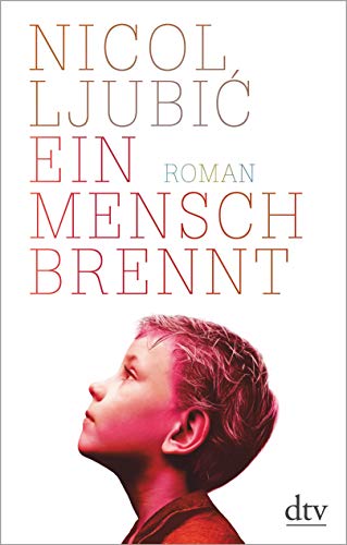 Stock image for Ein Mensch brennt: Roman for sale by medimops