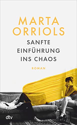 Imagen de archivo de Sanfte Einfhrung ins Chaos: Roman a la venta por medimops