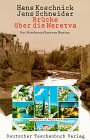 Brücke über die Neretva: Der Wiederaufbau von Mostar
