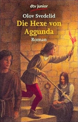 Stock image for Die Hexe von Aggunda: Roman for sale by medimops