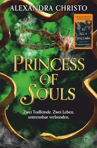 Imagen de archivo de Princess of Souls a la venta por GreatBookPrices