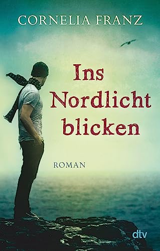 Stock image for Ins Nordlicht blicken: Roman for sale by WorldofBooks