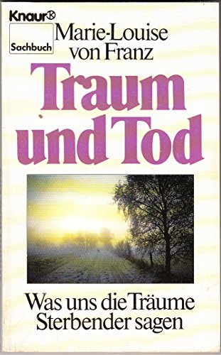 Stock image for Traum und Tod. Was uns die Trume Sterbender sagen. ( Sachbuch). for sale by medimops