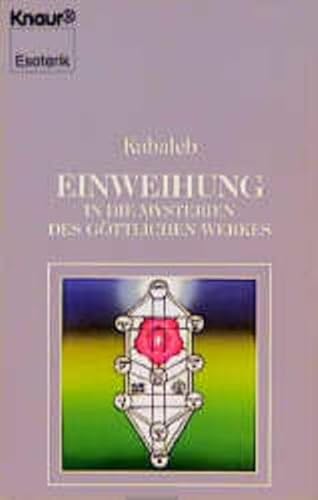 Imagen de archivo de Einweihung in die Mysterien des gttlichen Werkes a la venta por medimops