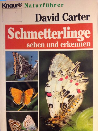 Beispielbild fr Schmetterlinge - sehen und erkennen zum Verkauf von medimops