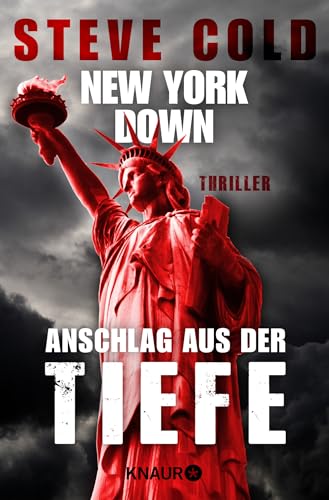 Stock image for New York down - Anschlag aus der Tiefe: Thriller for sale by medimops