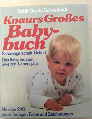Stock image for Knaurs Groes Babybuch. Schwangerschaft, Geburt. Das Baby bis zum zweiten Lebensjahr for sale by Antiquariat  Angelika Hofmann