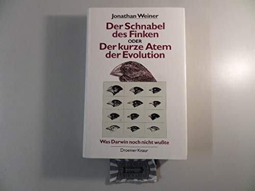 der schnabel des finken oder der kurze atem der evolution