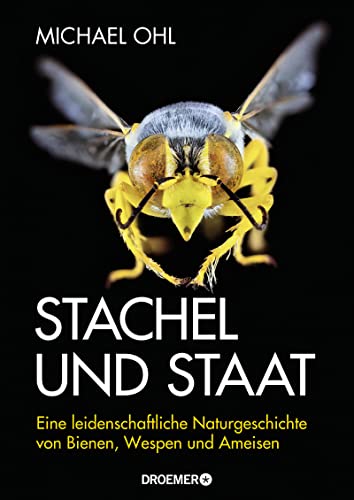 Beispielbild fr Stachel und Staat -Language: german zum Verkauf von GreatBookPrices