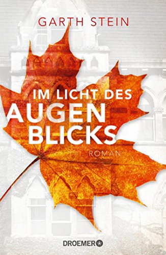 9783426281444: Im Licht des Augenblicks: Roman