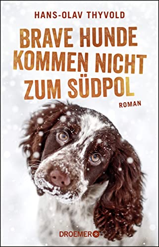 Imagen de archivo de Brave Hunde kommen nicht zum Sdpol: Roman a la venta por medimops