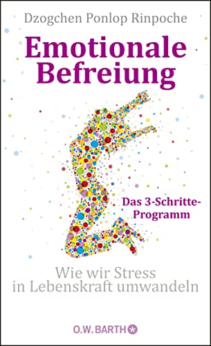 9783426292440: Emotionale Befreiung: Wie wir Stress in Lebenskraft umwandeln