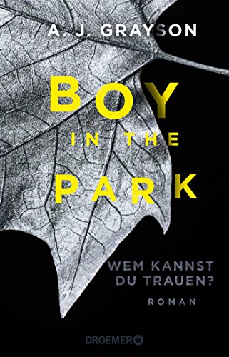 9783426305713: Boy in the Park - Wem kannst du trauen?