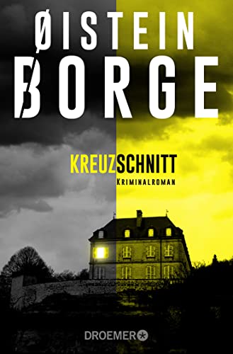 Stock image for Kreuzschnitt: Kriminalroman for sale by Ammareal