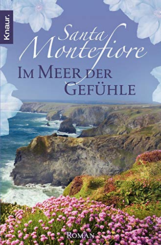 Stock image for Im Meer der Gefhle: Roman for sale by DER COMICWURM - Ralf Heinig