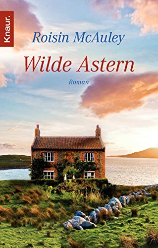 Stock image for Wilde Astern: Roman for sale by medimops