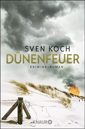 Stock image for Dnenfeuer: Kriminalroman (Ein Fall fr Femke Folkmer und Tjark Wolf) for sale by medimops