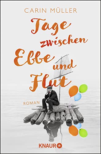 Beispielbild fr Tage zwischen Ebbe und Flut: Roman zum Verkauf von medimops