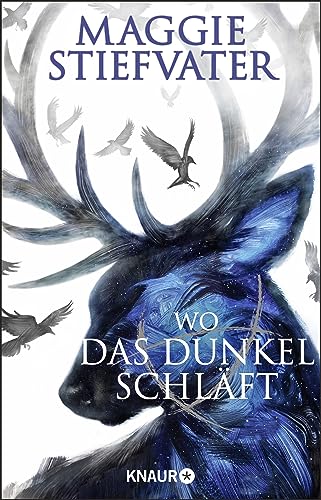 Beispielbild fr Wo das Dunkel schlft (Raven Boys, Band 4) zum Verkauf von medimops