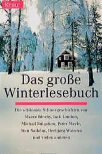 Stock image for Das grosse Winterlesebuch: Die schnsten Schneegeschichten for sale by Gabis Bcherlager