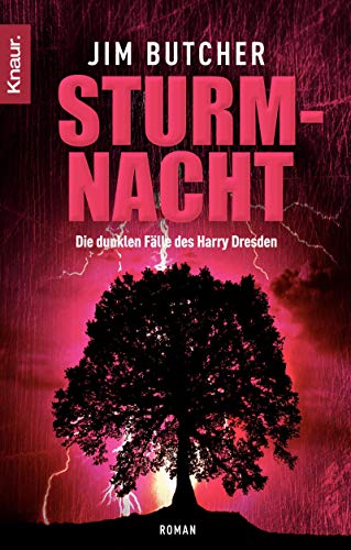 Sturmnacht: Die dunklen Fälle des Harry Dresden - Butcher, Jim und Jürgen Langowski