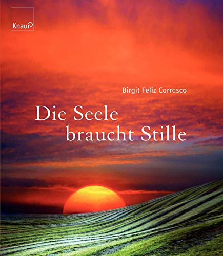 Stock image for Die Seele braucht Stille for sale by medimops