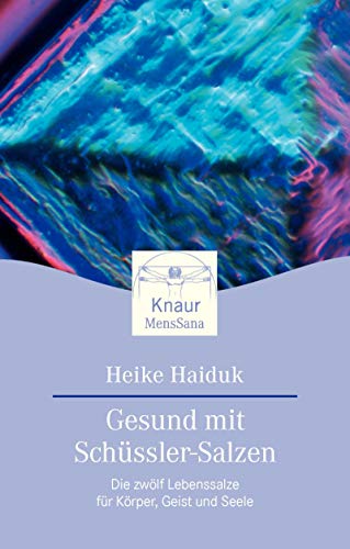 Stock image for Gesund mit Schssler-Salzen for sale by medimops