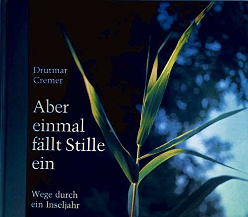 Imagen de archivo de Aber einmal fllt Stille ein : Wege durch e. Inseljahr a la venta por Paderbuch e.Kfm. Inh. Ralf R. Eichmann