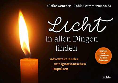 Stock image for Licht in allen Dingen finden for sale by GreatBookPrices