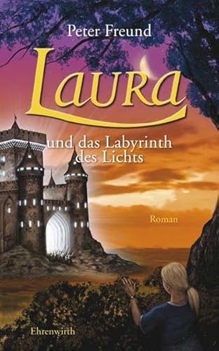 Stock image for Laura und das Labyrinth des Lichts for sale by WorldofBooks