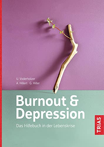 Imagen de archivo de Burnout und Depression: Das Hilfebuch in der Lebenskrise a la venta por medimops