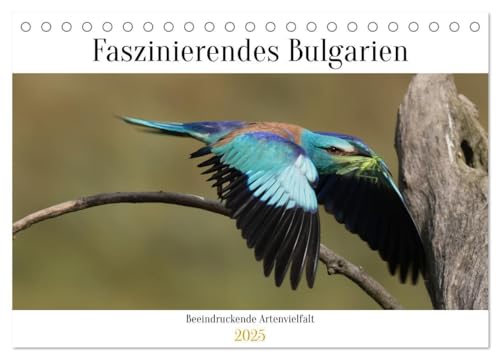 Beispielbild fr Faszinierendes Bulgarien (Tischkalender 2025 DIN A5 quer), CALVENDO Monatskalender : Die beeindruckende Tierwelt Bulgariens zum Verkauf von AHA-BUCH GmbH