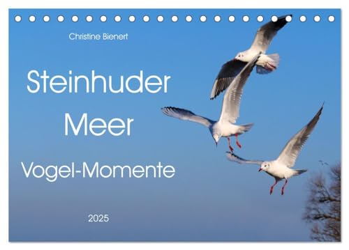 Beispielbild fr Steinhuder Meer, Vogel-Momente (Tischkalender 2025 DIN A5 quer), CALVENDO Monatskalender : Herrliche Schnappschsse der Vogelwelt zum Verkauf von AHA-BUCH GmbH