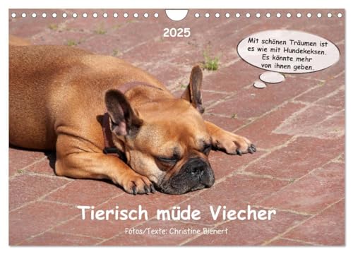 Beispielbild fr Tierisch mde Viecher (Wandkalender 2025 DIN A4 quer), CALVENDO Monatskalender : Mde Tiere  witzig und anrhrend zum Verkauf von AHA-BUCH GmbH