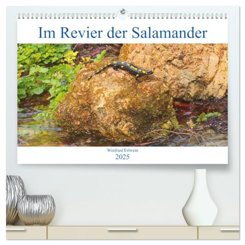 Beispielbild fr Im Revier der Salamander (hochwertiger Premium Wandkalender 2025 DIN A2 quer), Kunstdruck in Hochglanz : Achtung Lurche zum Verkauf von AHA-BUCH GmbH