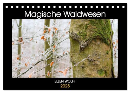 Stock image for Magische Waldwesen (Tischkalender 2025 DIN A5 quer), CALVENDO Monatskalender : Begegnungen der besonderen Art im Wald for sale by AHA-BUCH GmbH