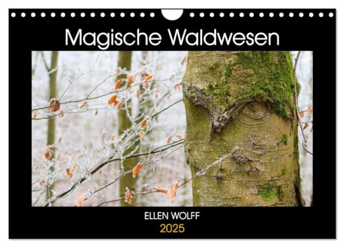 Stock image for Magische Waldwesen (Wandkalender 2025 DIN A4 quer), CALVENDO Monatskalender : Begegnungen der besonderen Art im Wald for sale by AHA-BUCH GmbH