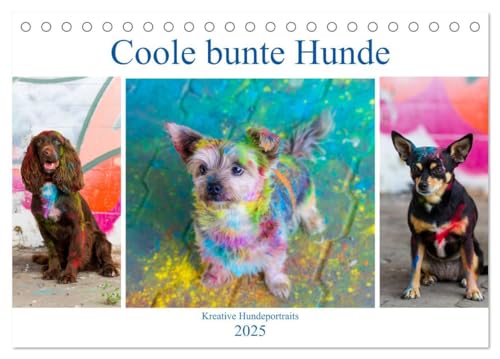 Imagen de archivo de Coole bunte Hunde (Tischkalender 2025 DIN A5 quer), CALVENDO Monatskalender : Vierbeiner farbenfroh in Szene gesetzt a la venta por AHA-BUCH GmbH