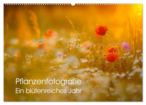 Imagen de archivo de Pflanzenfotografie - Ein bltenreiches Jahr (Wandkalender 2025 DIN A2 quer), CALVENDO Monatskalender : Knstlerische Pflanzenfotografie. a la venta por AHA-BUCH GmbH
