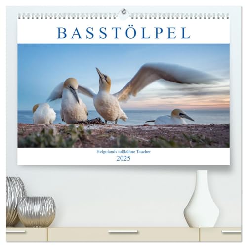 9783435362585: Basstlpel - Helgolands tollkhne Taucher (hochwertiger Premium Wandkalender 2025 DIN A2 quer), Kunstdruck in Hochglanz: Fotografien von der einzigen deutschen Brutkolonie auf Helgoland.