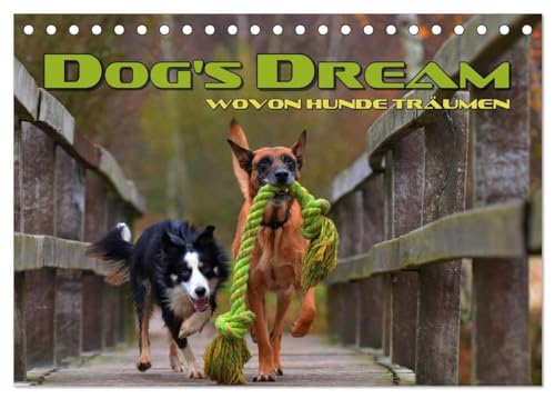Imagen de archivo de DOG'S DREAM - wovon Hunde trumen (Tischkalender 2025 DIN A5 quer), CALVENDO Monatskalender : Amsante Visualisierung von Hundetrumen a la venta por AHA-BUCH GmbH