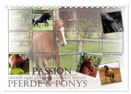Stock image for Passion - Pferde und Ponys (Tischkalender 2025 DIN A5 quer), CALVENDO Monatskalender : Bilder von wunderbaren Geschpfen, von anmutigen Pferden und klugen Ponys. for sale by AHA-BUCH GmbH