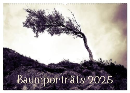 Beispielbild fr Baumportrts 2025 (Wandkalender 2025 DIN A2 quer), CALVENDO Monatskalender : Charaktervolle Portraits markanter Bume in Wildnis und Stadt zum Verkauf von AHA-BUCH GmbH