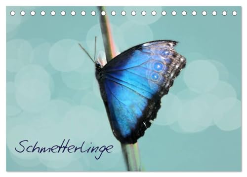 Imagen de archivo de Schmetterlinge (Tischkalender 2025 DIN A5 quer), CALVENDO Monatskalender : Fliegende Edelsteine a la venta por AHA-BUCH GmbH