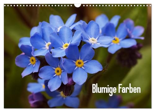 Imagen de archivo de Blumige Farben (Wandkalender 2025 DIN A3 quer), CALVENDO Monatskalender : Blumendetails a la venta por AHA-BUCH GmbH