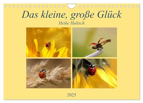 Imagen de archivo de Das kleine, groe Glck (Wandkalender 2025 DIN A4 quer), CALVENDO Monatskalender : Motivation fr das ganze Jahr a la venta por AHA-BUCH GmbH