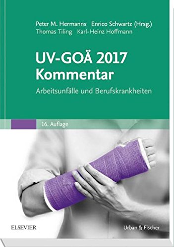 Beispielbild fr UV-GO 2017 Kommentar Arbeitsunflle und Berufskrankheiten zum Verkauf von Bunt Buchhandlung GmbH